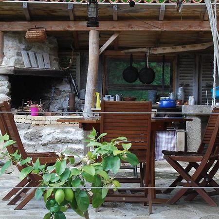 Saint-Jean-des-Ollières La Freiressa Bed & Breakfast エクステリア 写真