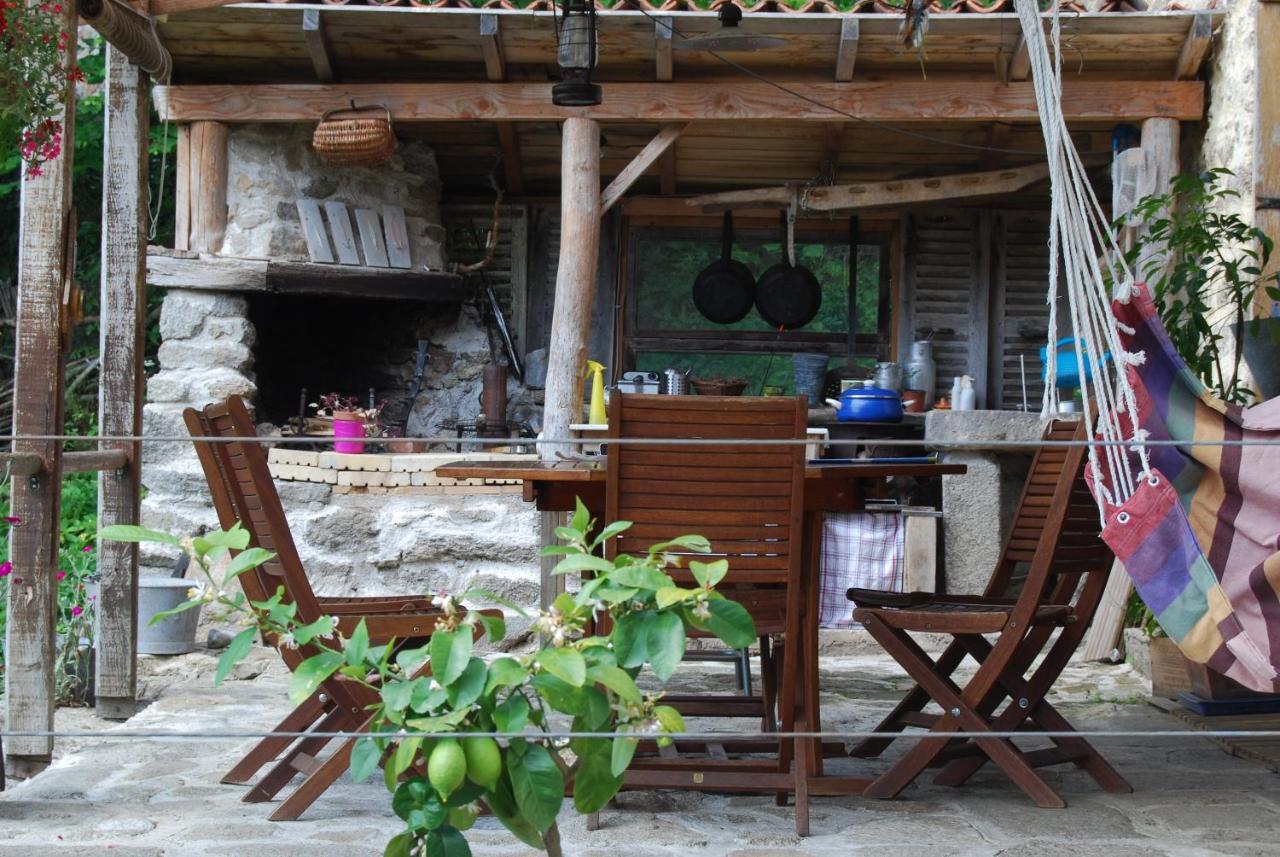 Saint-Jean-des-Ollières La Freiressa Bed & Breakfast エクステリア 写真