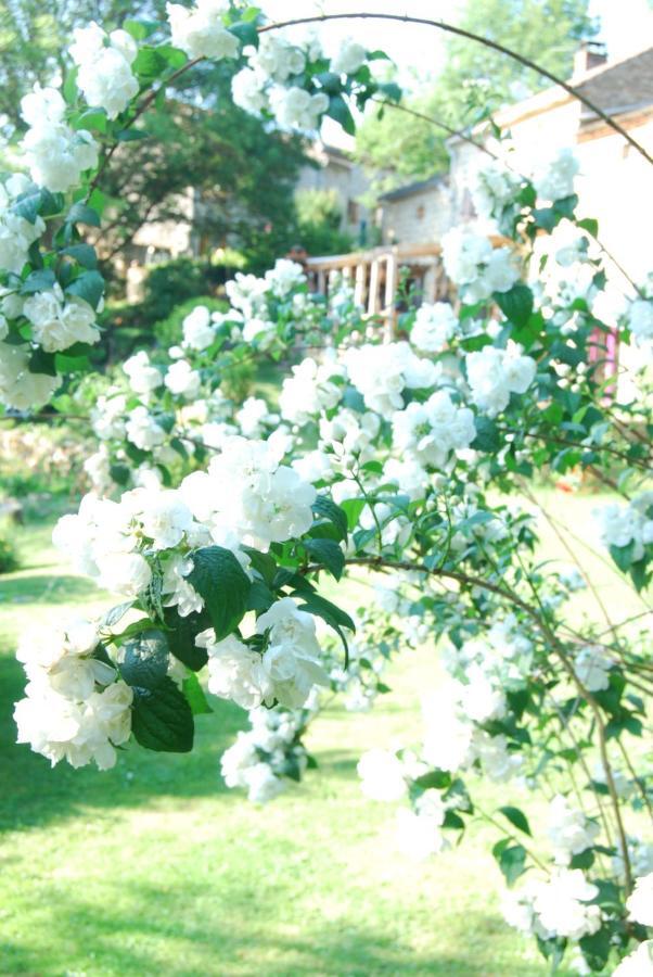 Saint-Jean-des-Ollières La Freiressa Bed & Breakfast エクステリア 写真